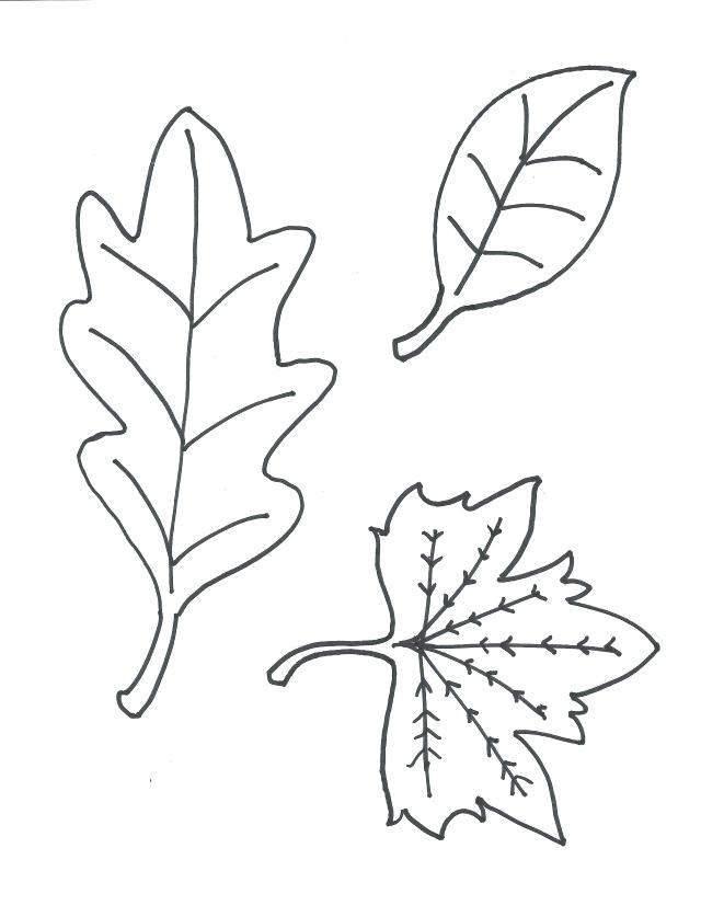 640x837 Printable Leaves Coloring Viewing Gallery For Leaf Coloring Page