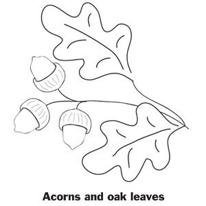 300x300 Printable Thanksgiving Coloring Pages Oak Leaves, Thanksgiving