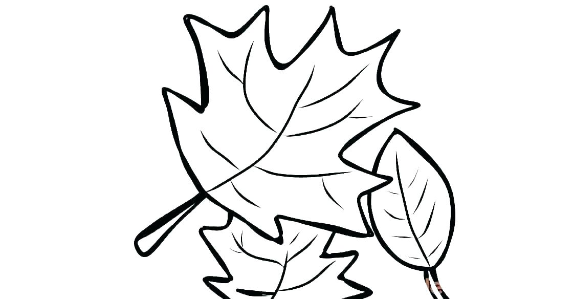 1120x584 Autumn Coloring Pages For Kindergarten Leaf Coloring Page Oak Leaf