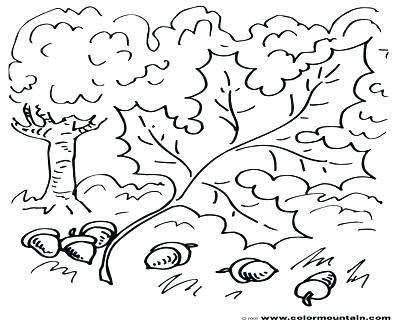 400x322 Oak Leaf Colouring Page Coloring Pages Of Trees With Leaves Tree