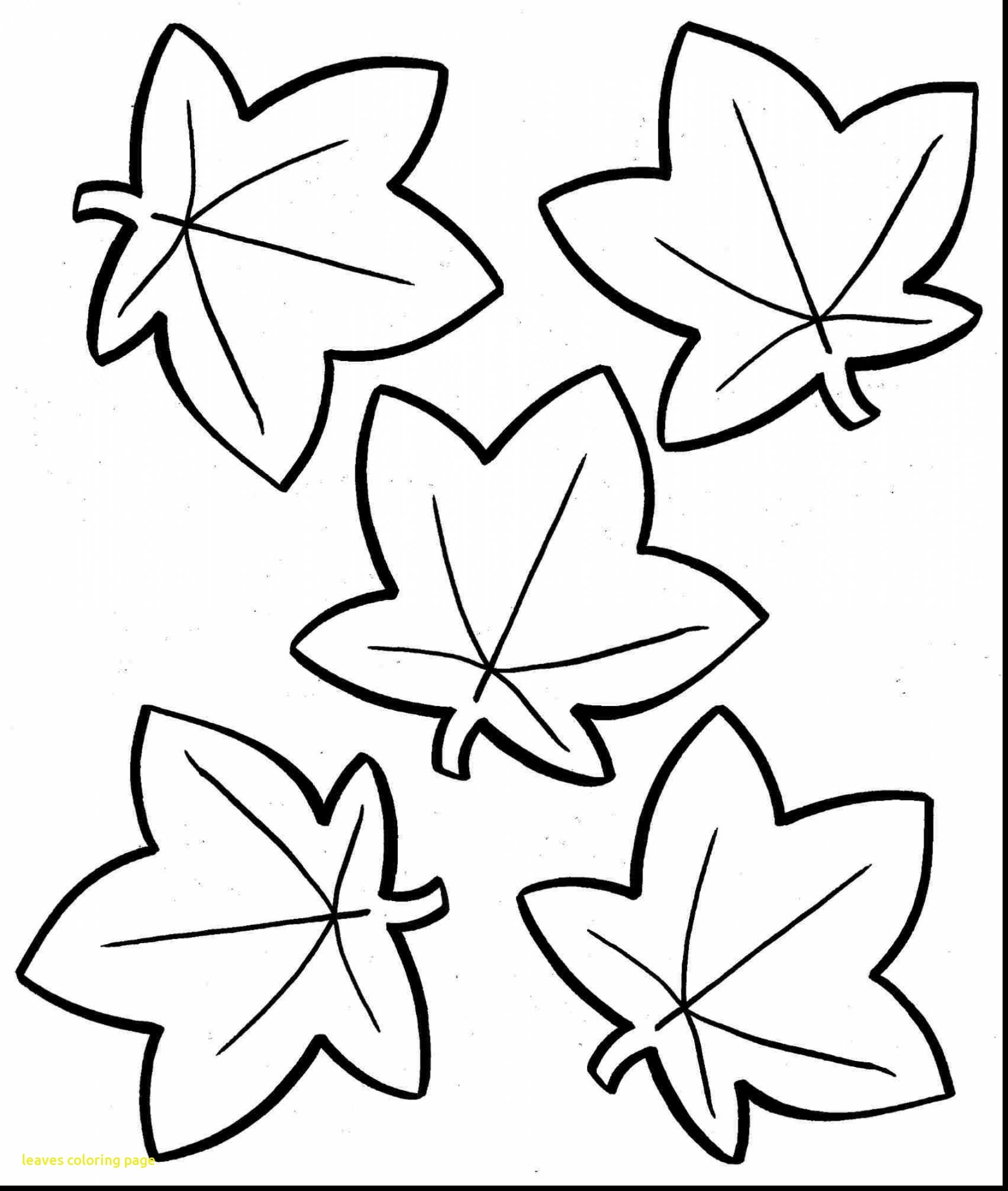 1863x2200 Printable Coloring Pages For Fall Trees New Eastern Black Oak Leaf