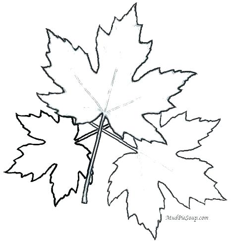 468x486 Autumn Leaf Coloring Pages Picture Of A Leaf To Color Autumn