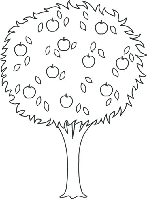 510x691 Apple Tree Coloring Pages Oak Tree Coloring Page Tree Leaves