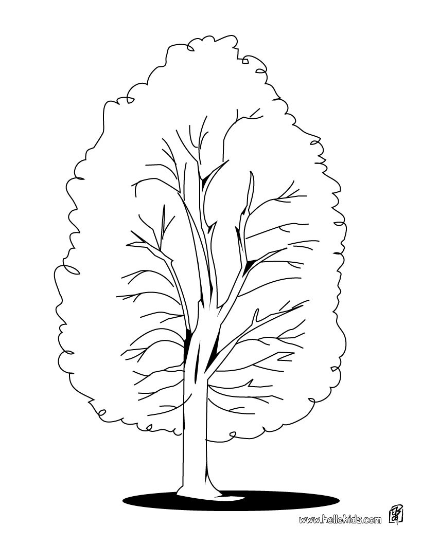 820x1060 Oak Tree Coloring Pages