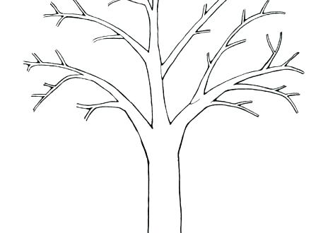440x330 Beautiful Leafless Tree Coloring Page Online Planting Oak Color