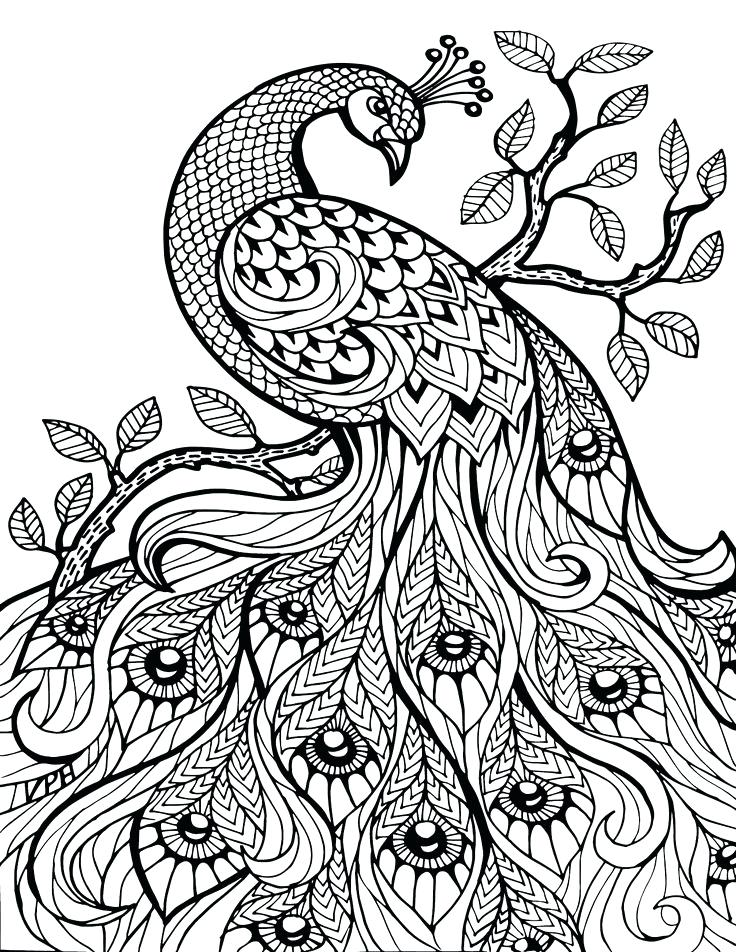 736x952 Animal Coloring Pages For Adults Sea Animal Coloring Pages Adult