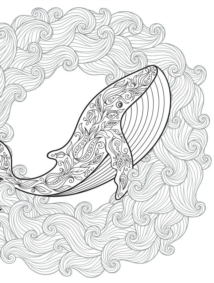 700x924 Whale Adult Coloring Page For Free Printing Coloring Pages