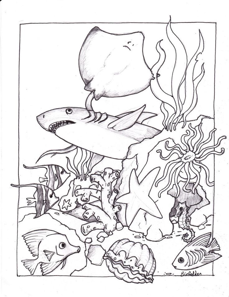 736x954 Ocean Coloring Pages Fascinating Ocean Coloring Pages For Your