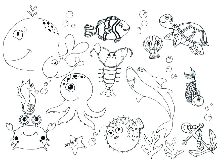 863x633 Sea Animals Coloring Pages Top Rated Coloring Pages Of Sea Animals
