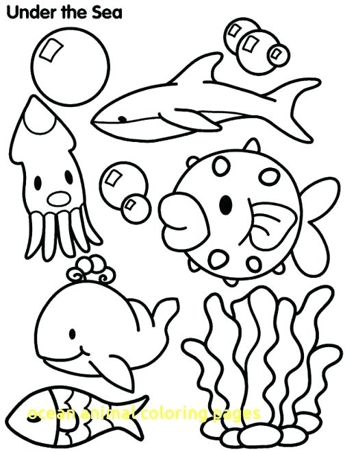 520x659 Coloring Pages Sea Animals Printable Coloring Pages Sea Animals