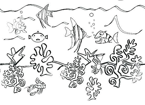 551x400 Underwater Coloring Page Water Animals Coloring Pages Underwater