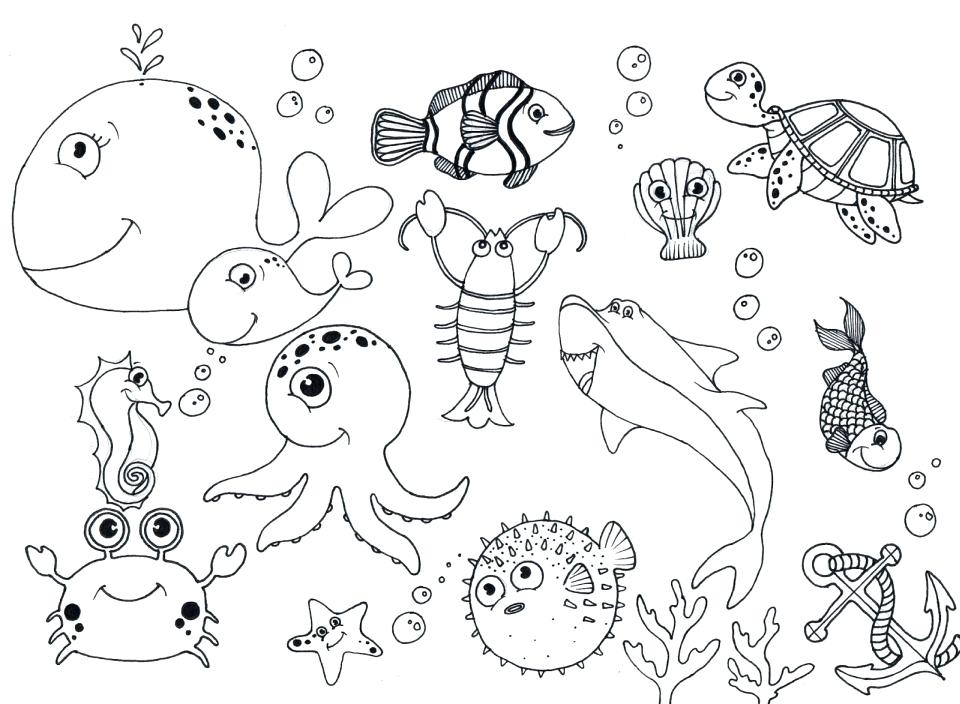 960x704 Ocean Animals Coloring Pages For Preschool