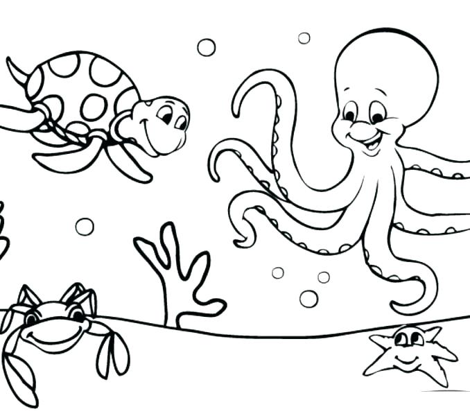 Ocean Animals Coloring Pages For Preschool at GetDrawings | Free download