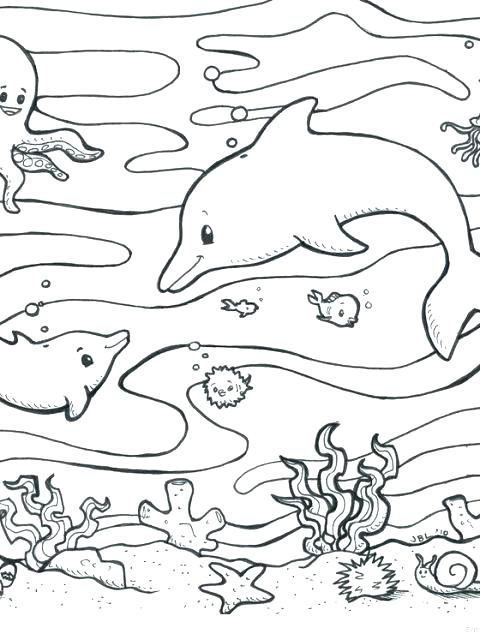 480x640 Animals Coloring Pages For Toddlers Coloring Farm Animal Coloring