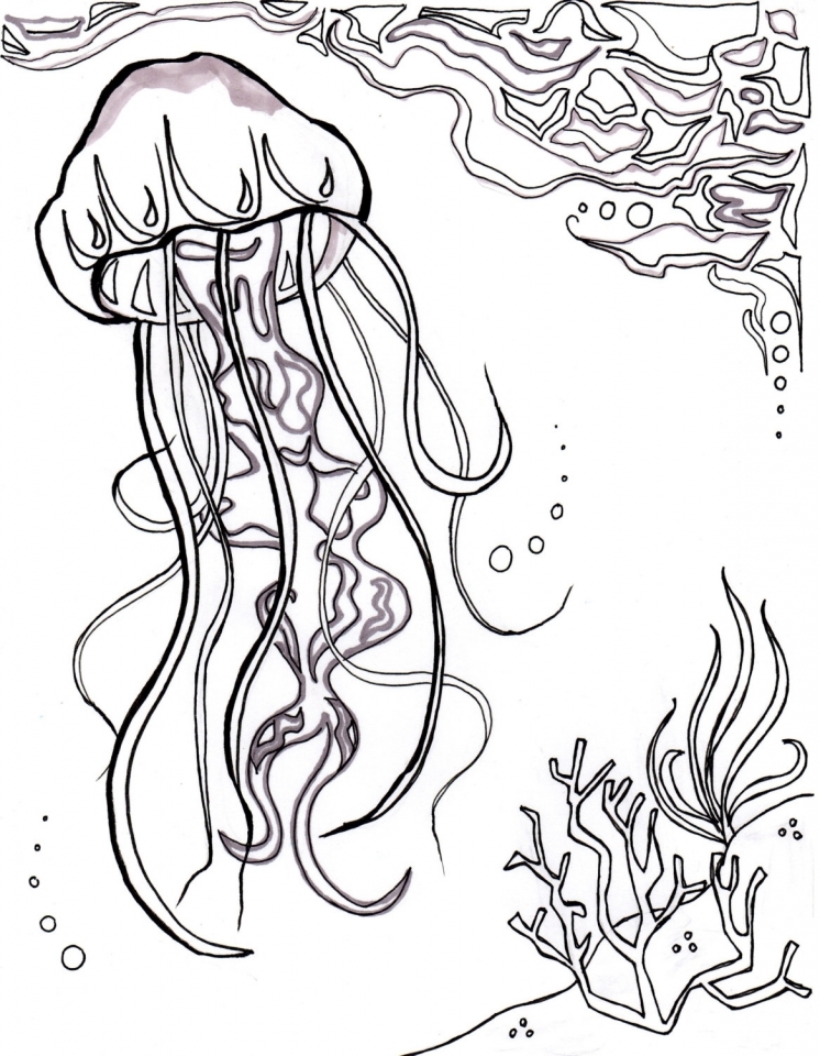 746x960 Get This Ocean Coloring Pages For Adults !