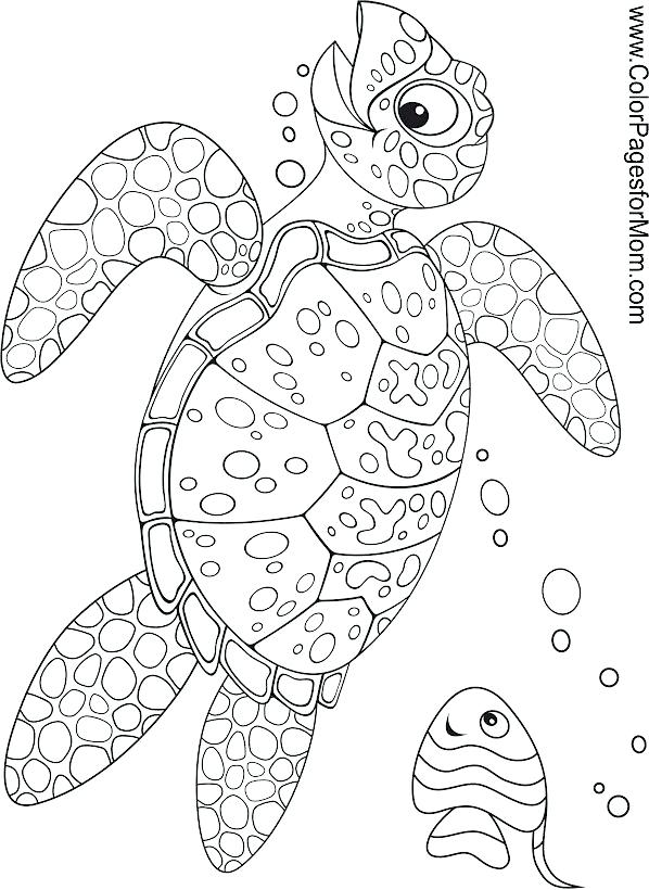 598x820 Ocean Color Pages Ocean Coloring Page Ocean Coloring Pages