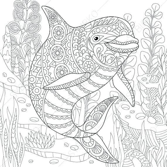570x570 Adult Ocean Coloring Pages Ocean Coloring Pages For Adults