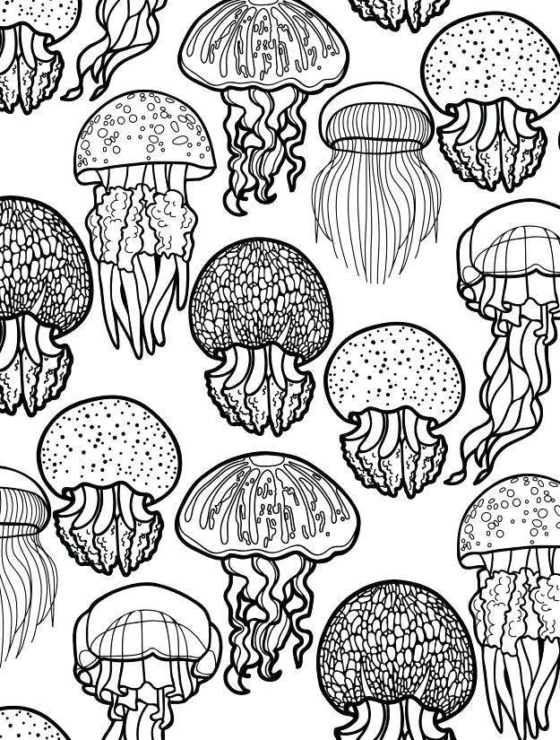 625x825 Printable Ocean Coloring Pages