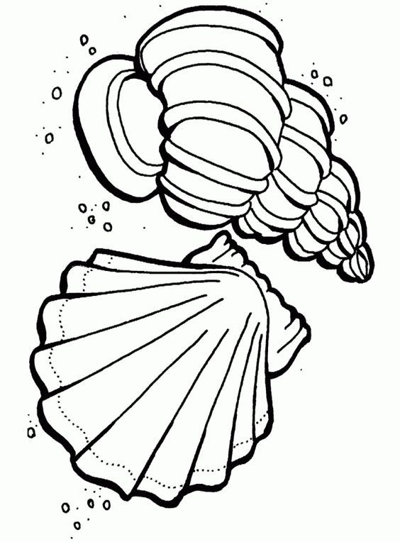 564x764 Free Printable Ocean Coloring Pages For Kids