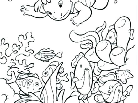 440x330 Ocean Coloring Pages For Kids Ocean Coloring Pages Ocean Ecosystem