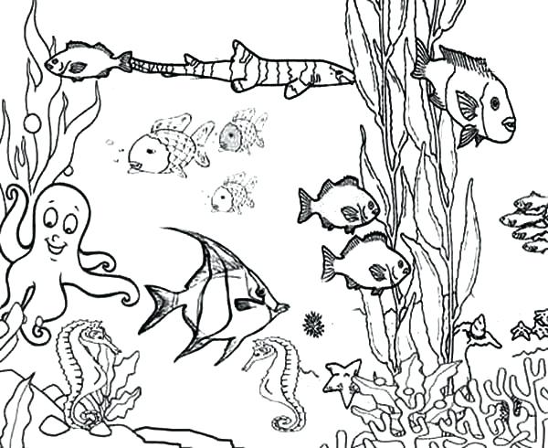 600x490 Printable Ocean Pictures Printable Ocean Coloring Pages Ocean