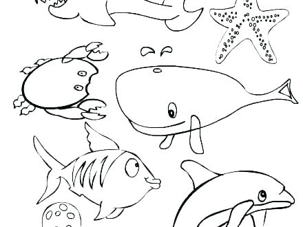 440x330 Ocean Color Pages Coloring Pages Of The Ocean Ocean Creatures