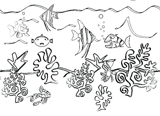 551x400 Ocean Creatures Coloring Pages Coloring Pages Ocean Ocean Life