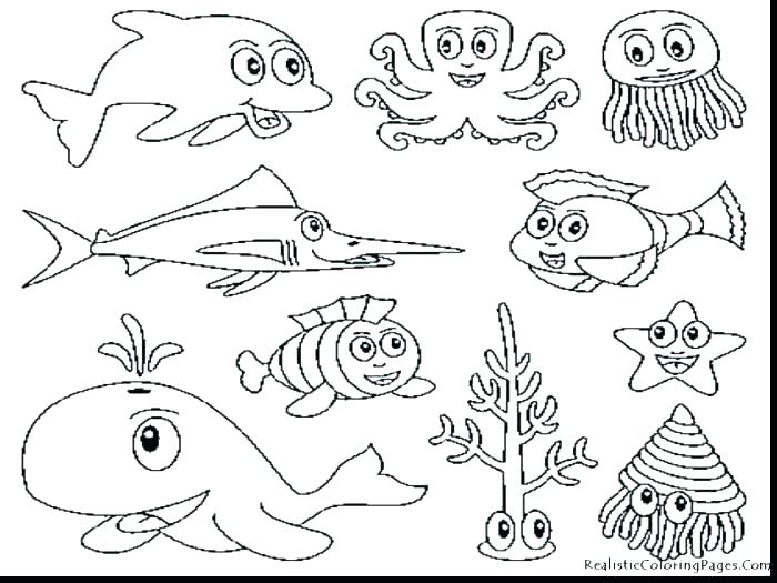 700x525 Ocean Life Coloring Pages Seahorse Seahorse Coloring Page Coloring