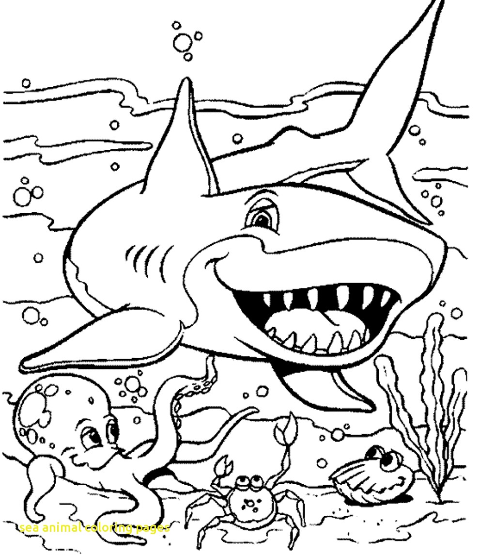 991x1145 Sea Animal Coloring Simple Ocean Creatures Coloring Pages