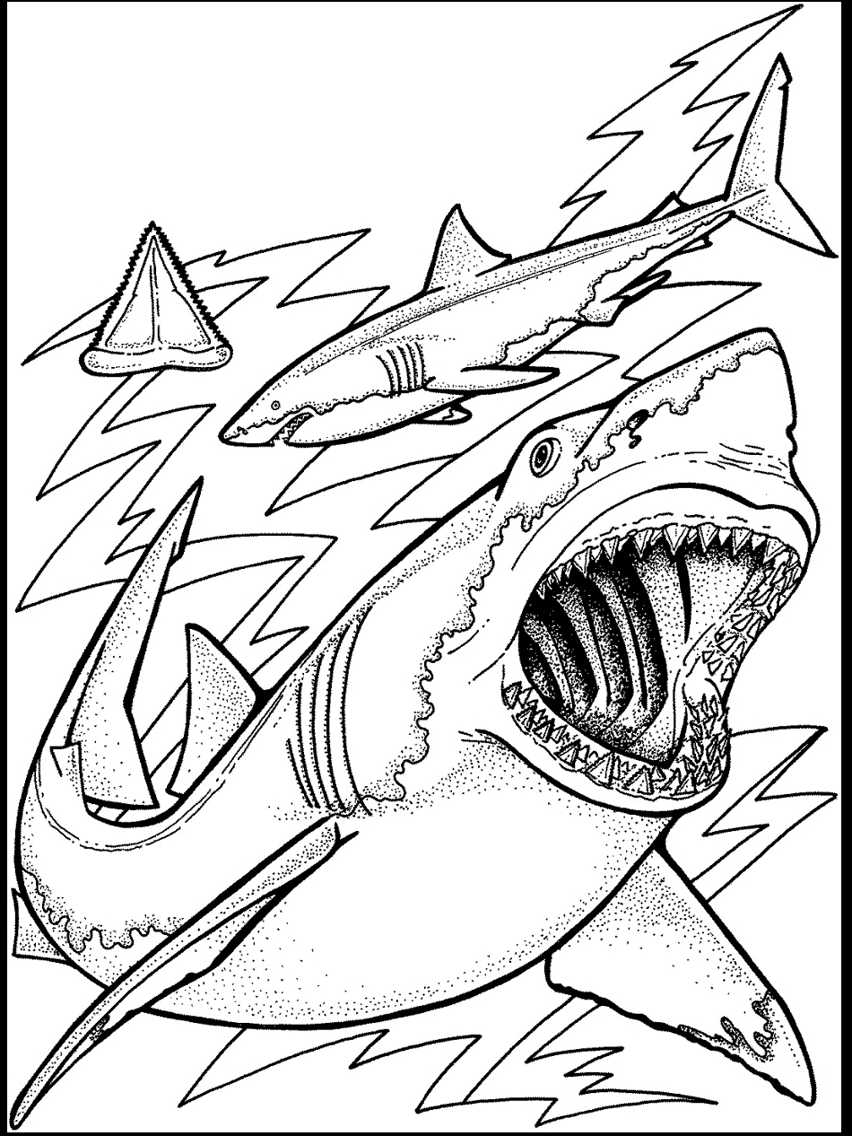 950x1266 Ocean Fish Coloring Pages