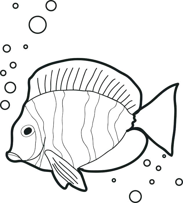 631x700 Betta Fish Coloring Page Fish Coloring Pages Free Ocean Fish