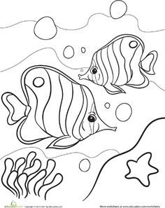 236x297 Clown Fish Coloring, Ocean Animal Coloring Pages Patterns