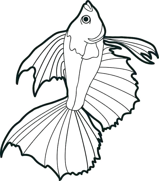614x700 Fish Coloring Pages Free