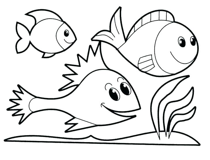 728x555 Coloring Page Of Fish Fish Coloring Pages Printable Ocean Fish