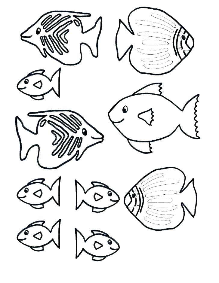 728x942 Coloring Pages Of Fish Ocean Fish Coloring Pages Fish Ocean Fish