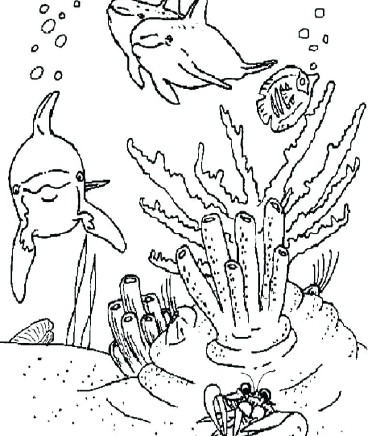 768x900 Sea Life Coloring Pages Extraordinary Sea Life Coloring Pages
