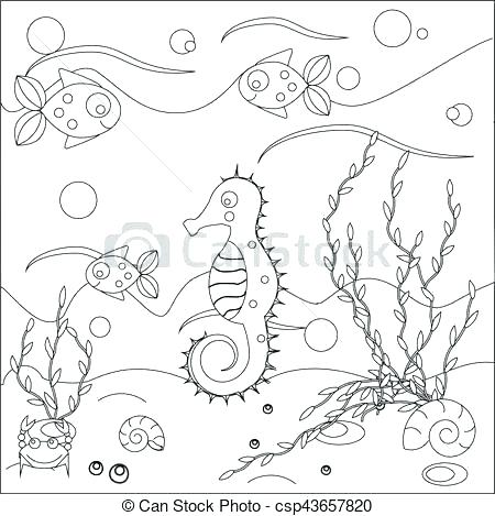 450x469 Marine Life Coloring Pages