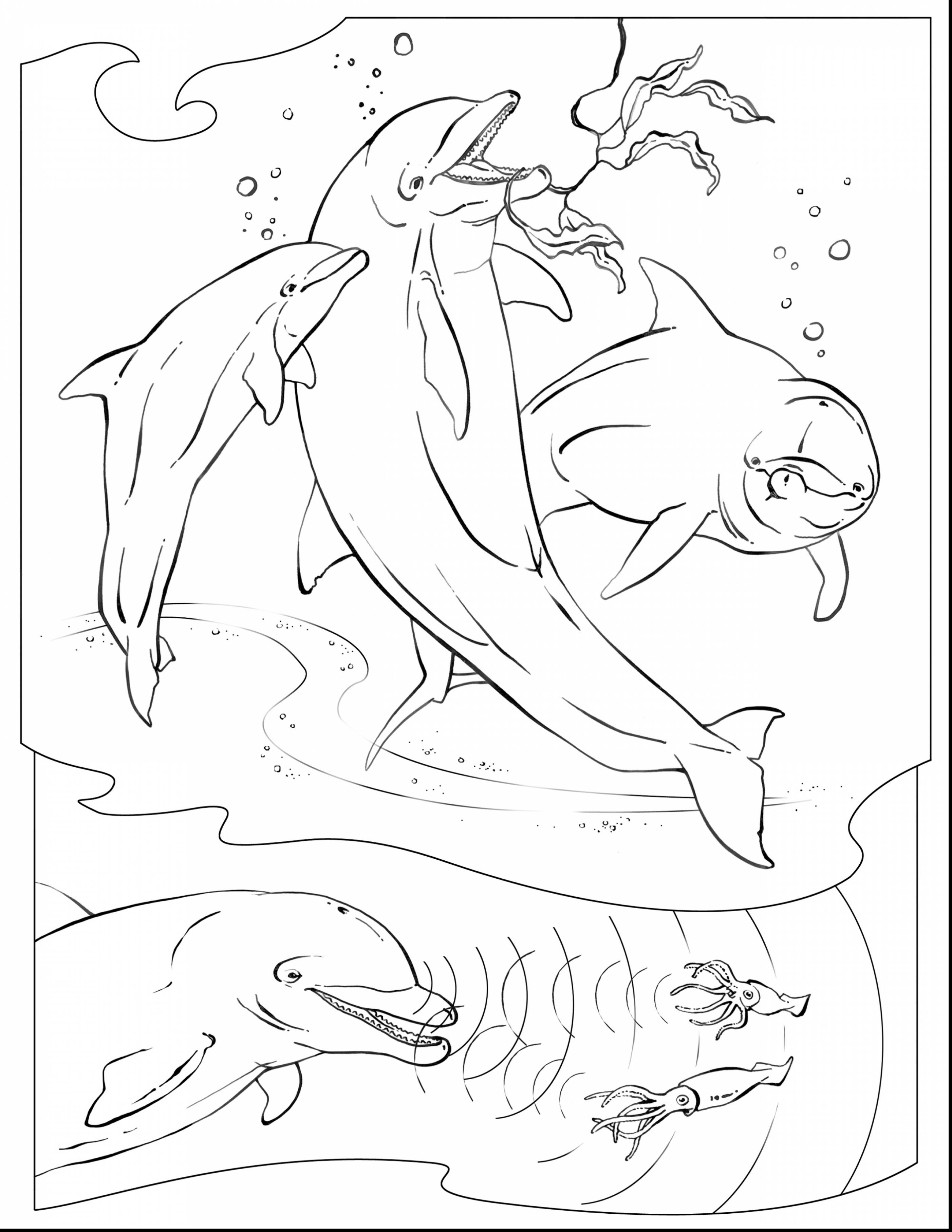2805x3630 Coloring Pages Of The Ocean Floor