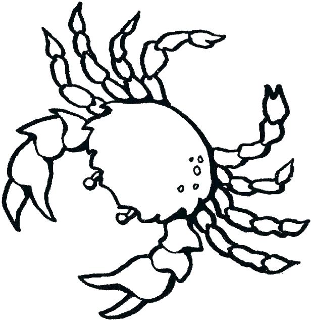 618x635 Ocean Creatures Coloring Pages Coloring Pages Of Ocean Animals Sea