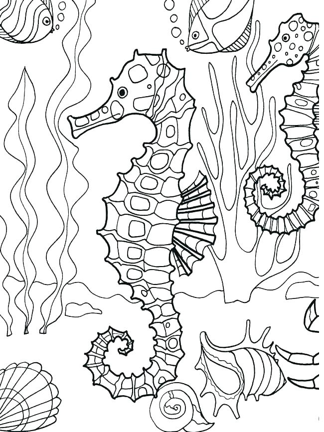 650x867 Ocean Life Coloring Pages Coloring Pages Sea Animals Printable