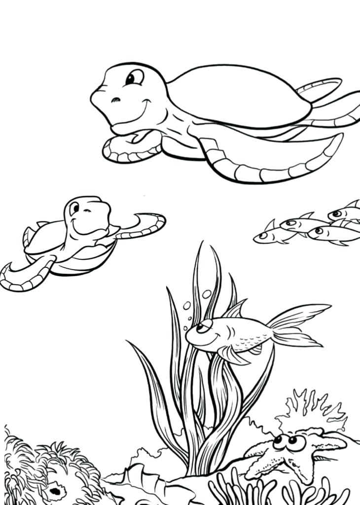 730x1024 Ocean Life Coloring Pages Preschool Pond Ocean Ecosystem