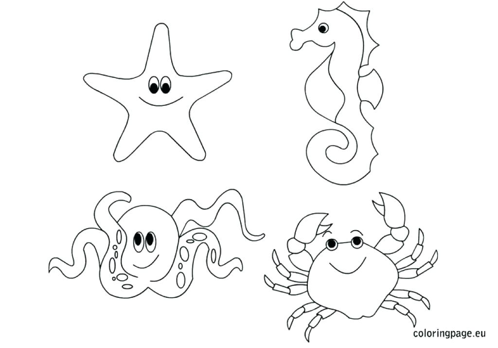 1024x715 Ocean Life Coloring Pages Sea Animals Coloring Pages Life Ocean