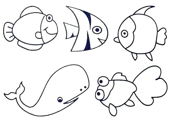 580x424 Sea Life Coloring Pages Marine Life Coloring Pages Animal Games