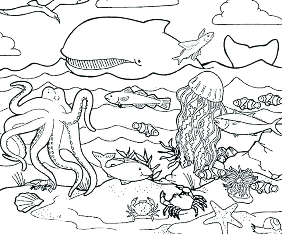 963x799 Sea Creatures Coloring Pages Icontent