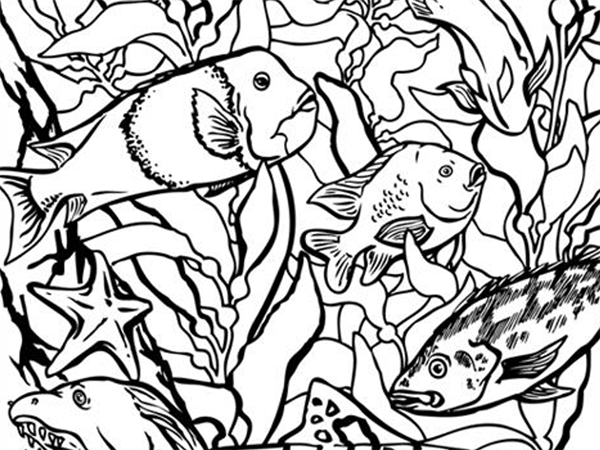 600x450 Coloring Pages