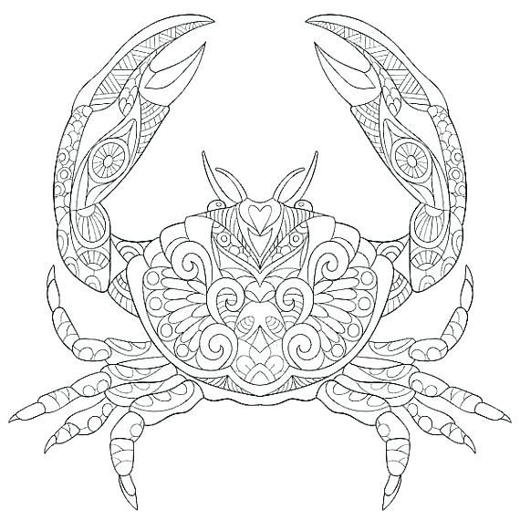 570x570 Marine Coloring Pages Coloring Pages Sea Animals Marine Life