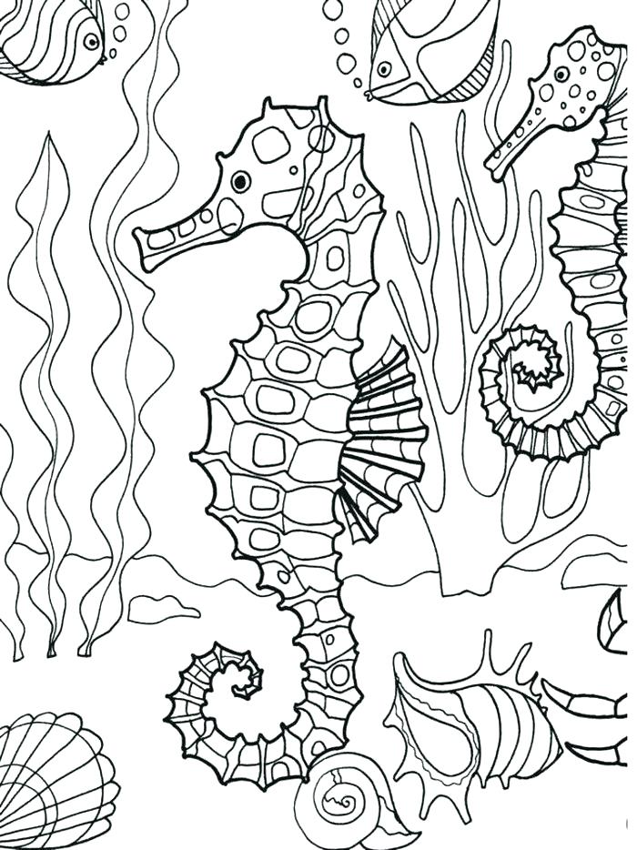 700x934 Ocean Color Pages Ocean Life Coloring Pages Plus Pin Drawn Sea