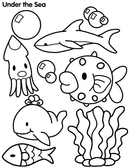 520x659 Ocean Life Coloring Pages Sea Life Coloring Pages Printable Animal