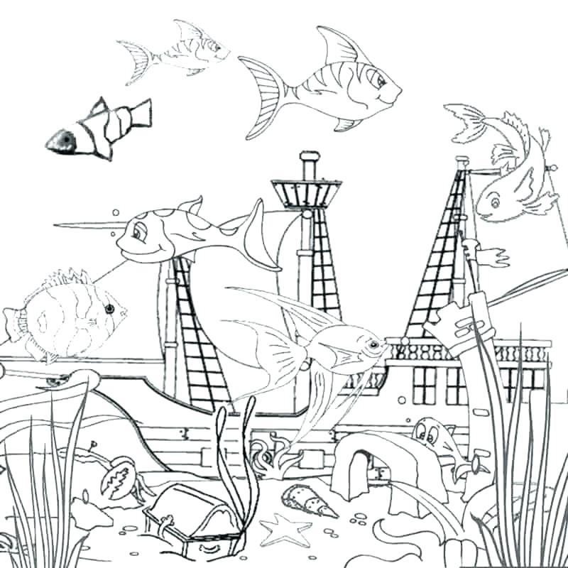 800x800 Marine Coloring Page Marine Coloring Page Ocean Coloring Pages