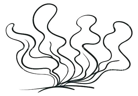 476x333 Plants Coloring Page Coloring Ocean Coloring Sheets Sea Plants